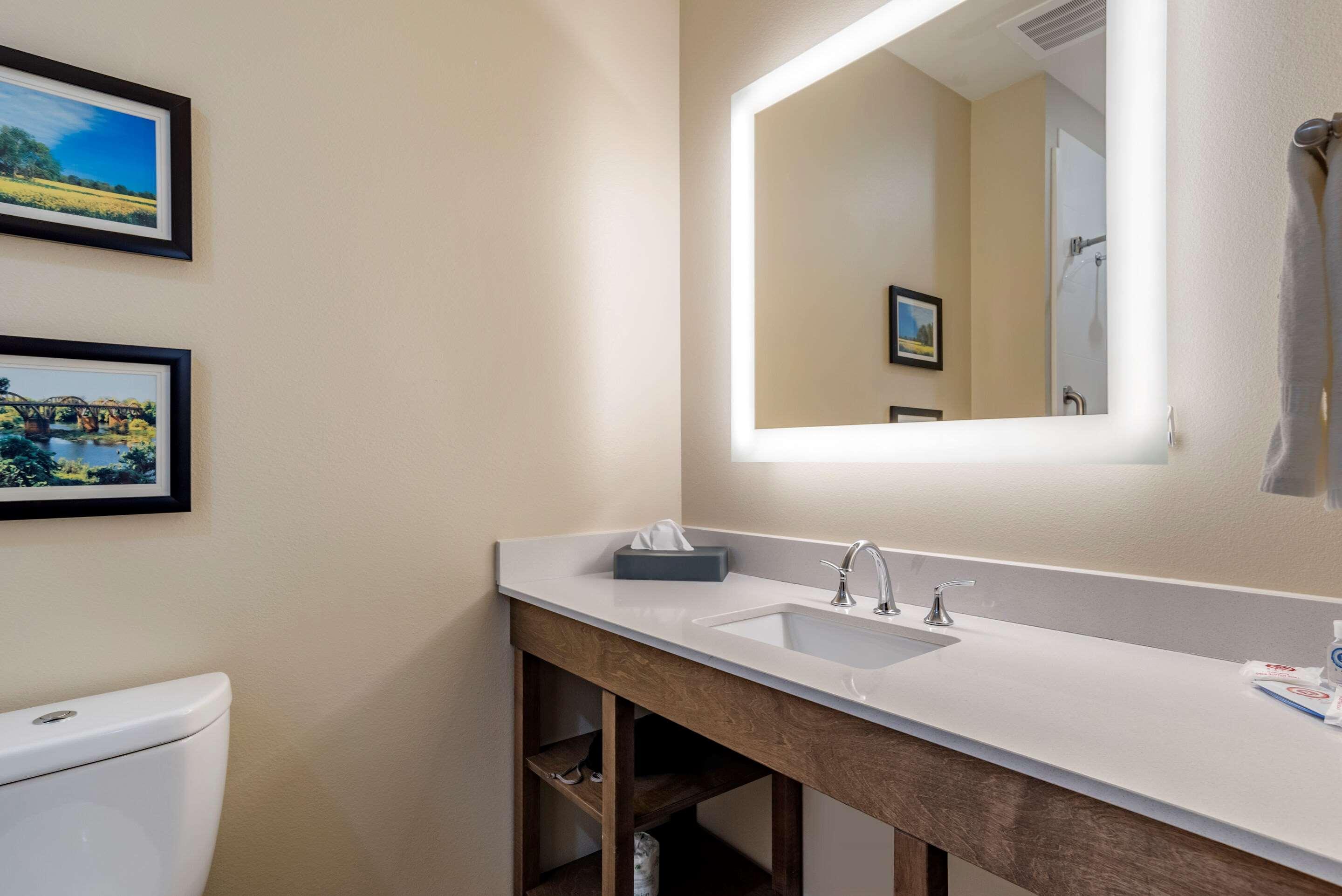 Comfort Inn & Suites Downtown Near University Tuscaloosa Ngoại thất bức ảnh
