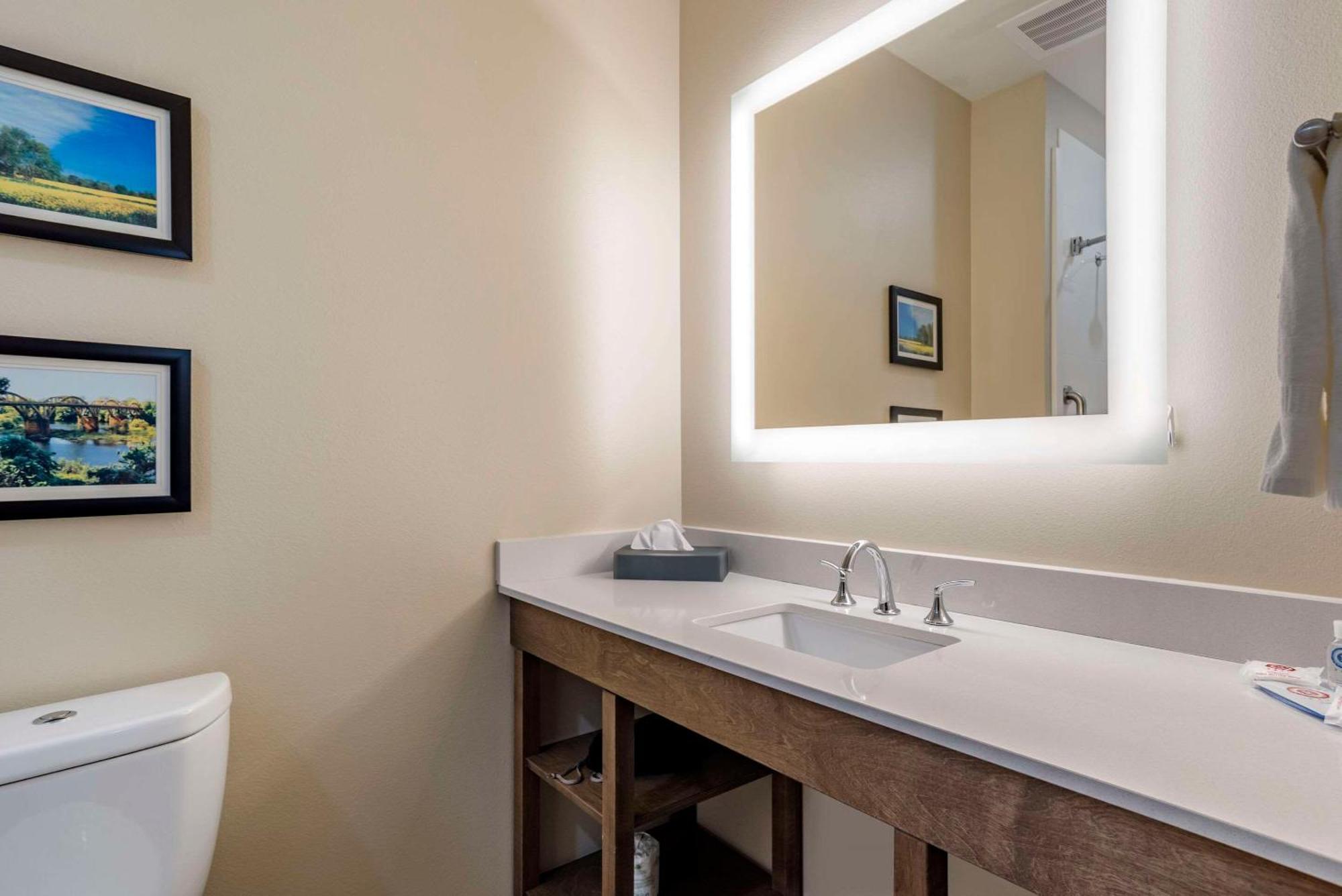 Comfort Inn & Suites Downtown Near University Tuscaloosa Ngoại thất bức ảnh